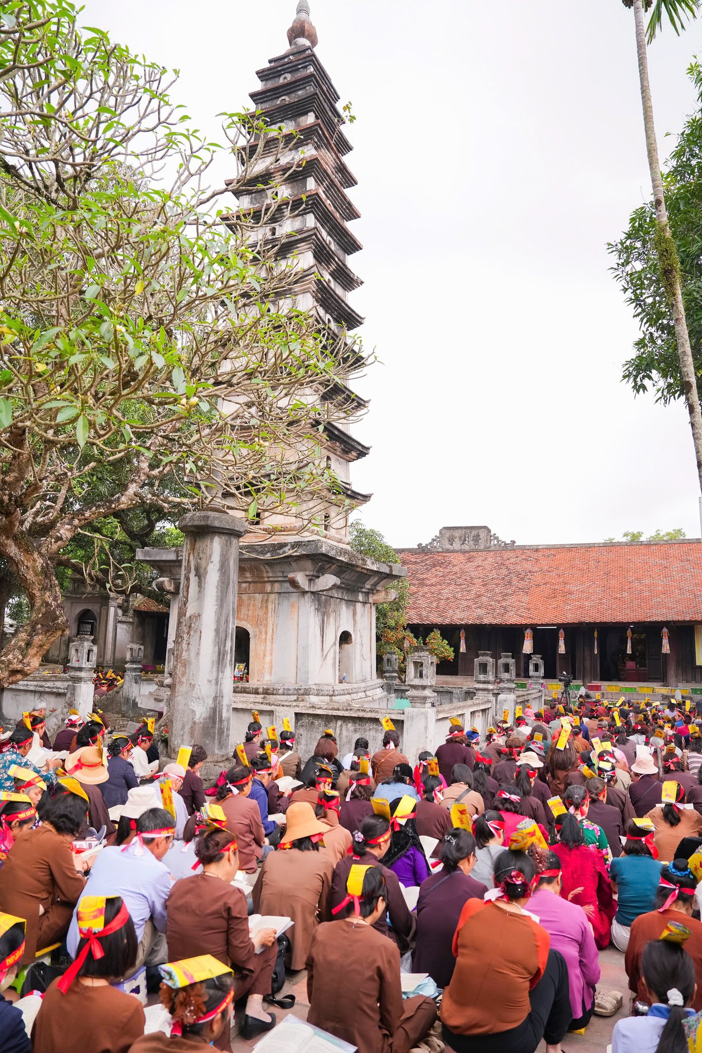 Ninh Bình: Chùa Tân Hải tiếp tục tổ chức hành hương tu học đầu xuân Bính Ngọ – 2026插图34