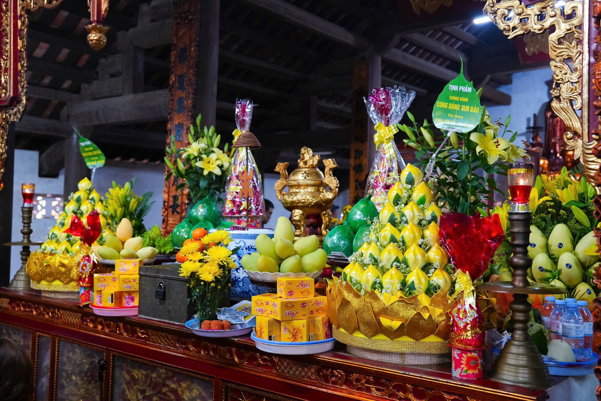 Ninh Bình: Chùa Tân Hải tiếp tục tổ chức hành hương tu học đầu xuân Bính Ngọ – 2026插图16