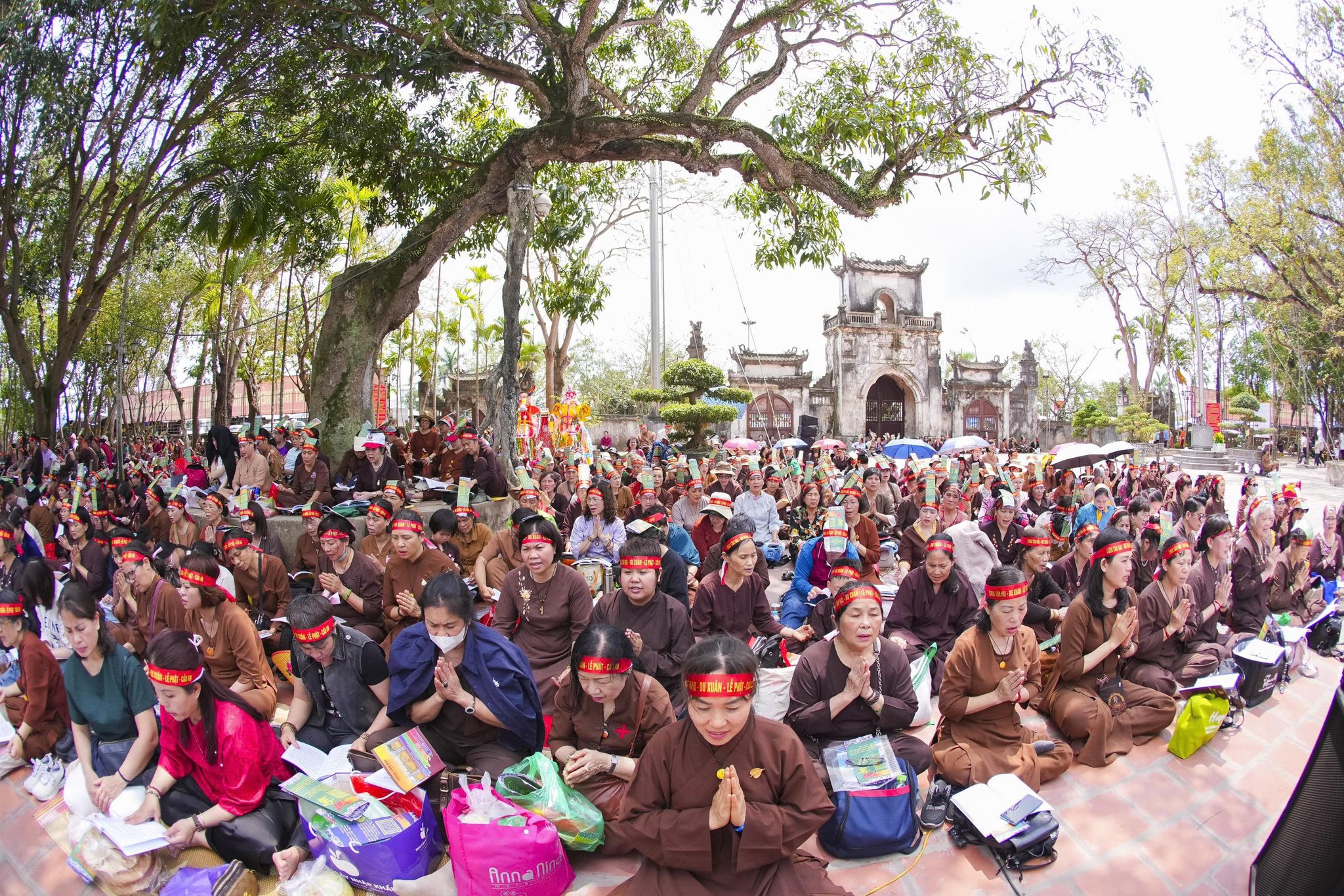 Ninh Bình: Chùa Tân Hải tiếp tục tổ chức hành hương tu học đầu xuân Bính Ngọ – 2026插图8