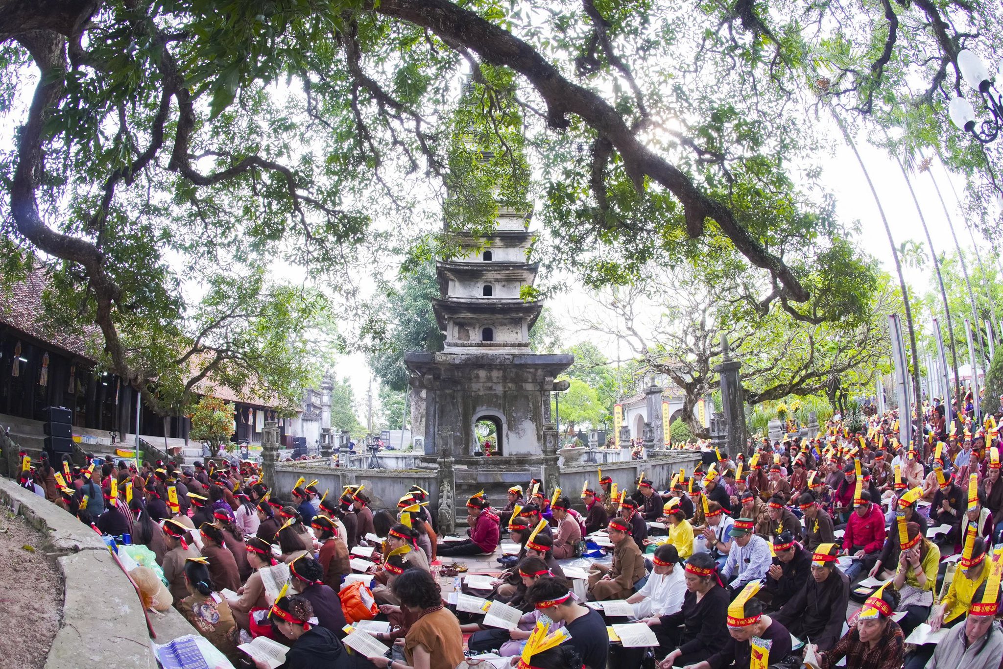 Ninh Bình: Chùa Tân Hải tiếp tục tổ chức hành hương tu học đầu xuân Bính Ngọ – 2026插图18