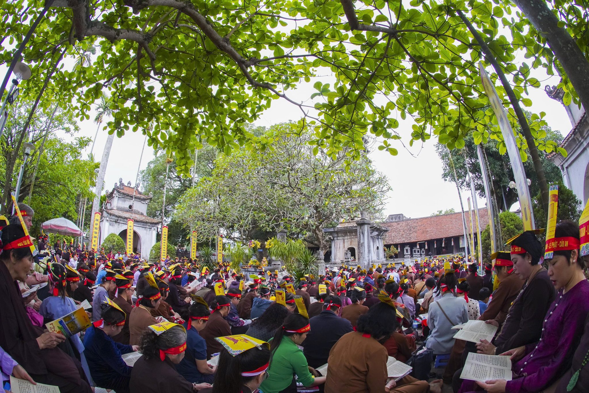 Ninh Bình: Chùa Tân Hải tiếp tục tổ chức hành hương tu học đầu xuân Bính Ngọ – 2026插图19