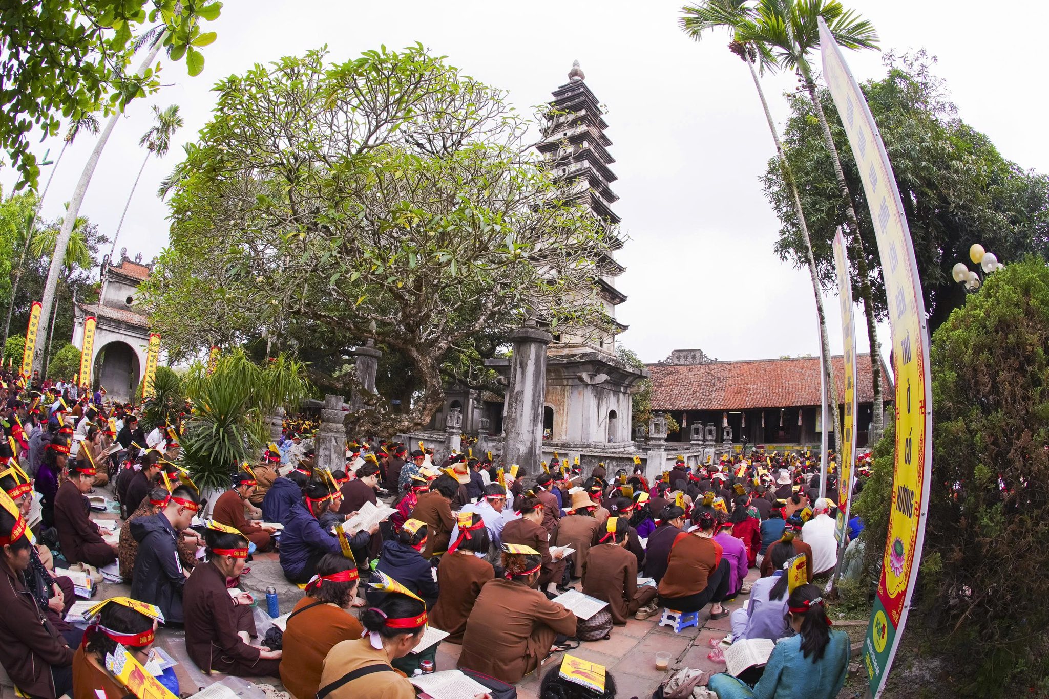 Ninh Bình: Chùa Tân Hải tiếp tục tổ chức hành hương tu học đầu xuân Bính Ngọ – 2026插图20