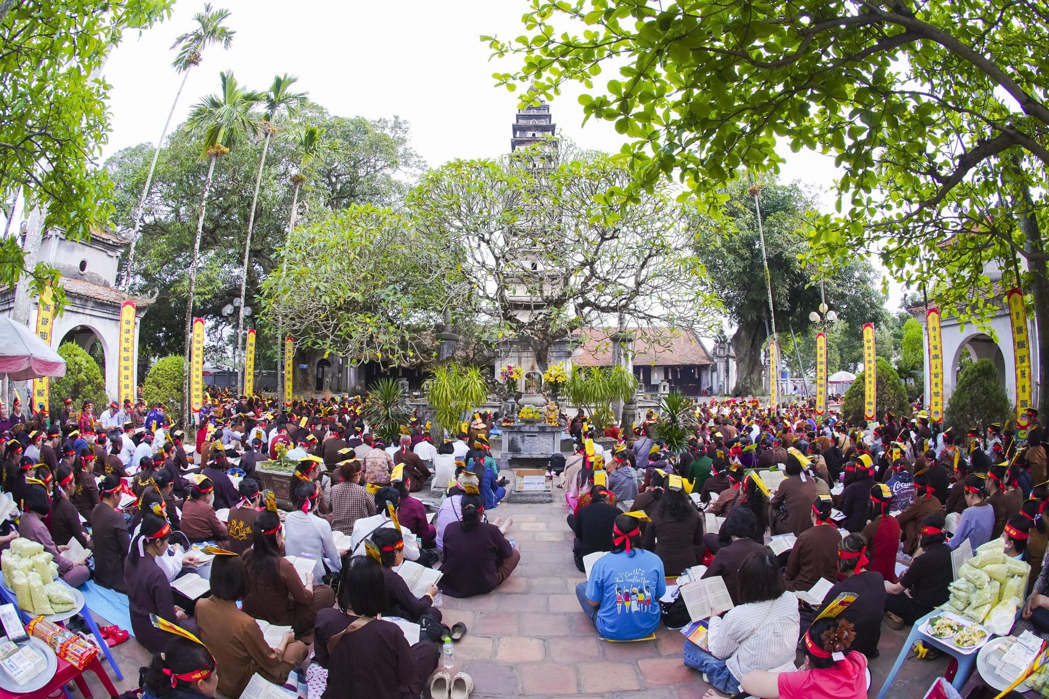 Ninh Bình: Chùa Tân Hải tiếp tục tổ chức hành hương tu học đầu xuân Bính Ngọ – 2026插图22